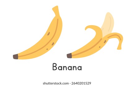 Banana flat vector illustration set. Yellow banana or Musa fruit cartoon clipart style isolated on white background. Whole banana and peeled banana. Common fruit concept