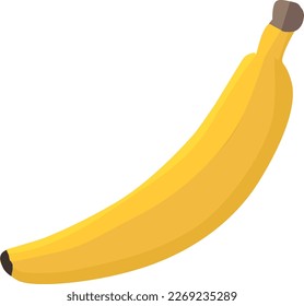 Banana flat vector is suitable for a variety of uses such as creating logos, illustrations, icons, or infographics related to food, health, or agriculture. It's also great for creating fun and playful