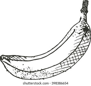 banana freehand drawing vector