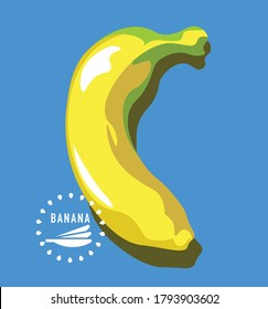 Banana, fresh fruit, closeup, whole exotic fruit isolated, food concept, vector graphic illustration on color background. Symbol, icon.