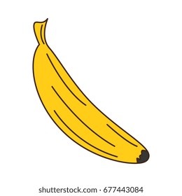 banana fresh fruit icon