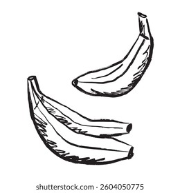Banana fruit in black brush stroke texture isolated on white. Hand drawn vector sketch illustration in vintage charcoal ink. Tropical fruit, healthy eating, print design, menu, cocktail ingredient.