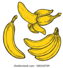 82,461 Banana hand drawn Images, Stock Photos & Vectors | Shutterstock