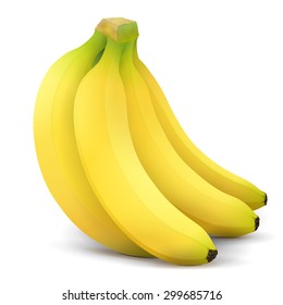 Banana fruit close up. Bunch of bananas isolated on white background. Vector illustration