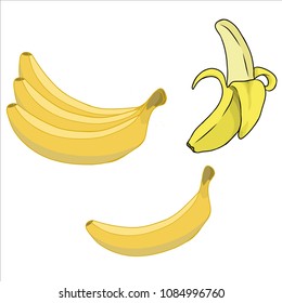 Banana fruit collection vector design