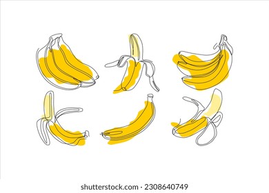  banana fruit continuous line art vector set illustration