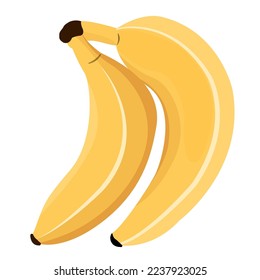 Banana fruit design vector illustration for learning or education or website making elements 