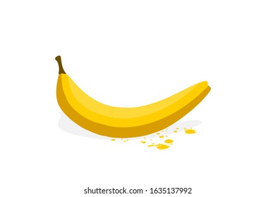 banana fruit. eps10 vector stock illustration.