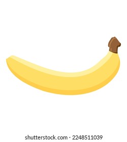 banana fruit food flat icon vector illustration isolated on white background