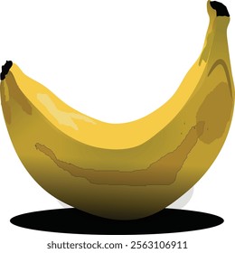 Banana Fruit Food vector graphic.