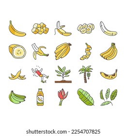 banana fruit food yellow white icons set vector. peel bunch, ripe fresh sweet, tropical healthy, green organic raw snack slice, delicious banana fruit food yellow white color line illustrations