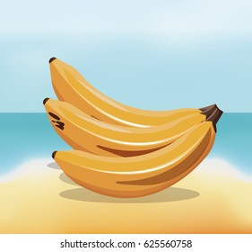 banana fruit fresh harvest - beach background