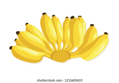 Banana Fruit Fresh Realistic; Vector illustration and design.
