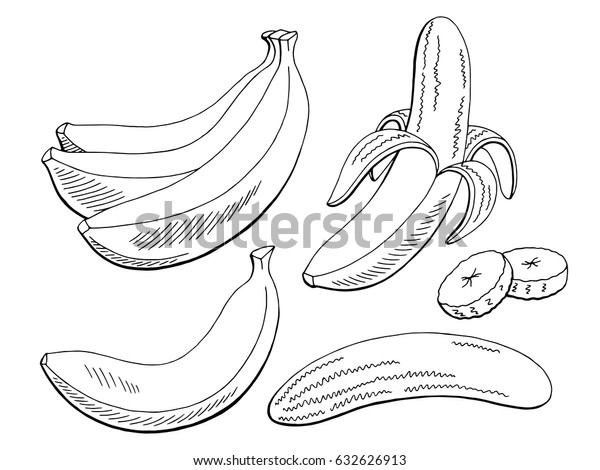 Banana Fruit Graphic Black White Isolated Stock Vector (Royalty Free ...