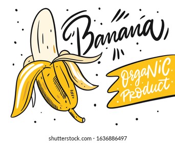 Banana fruit hand drawn vector illustration art. Design for poster, banner, menu, market and web.
