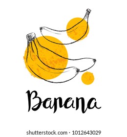 Banana fruit handdrawn design template. Botanical fruit illustration. Vector illustration realistic sketch with calligraphic lettering