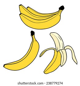 BANANA FRUIT illustration vector