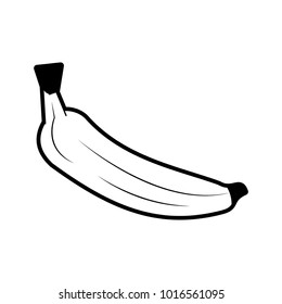 Banana fruit isolated