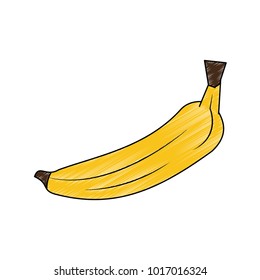 Banana fruit isolated