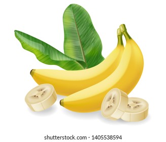 Banana fruit isolated Vector realistic poster template. Mock up for label design