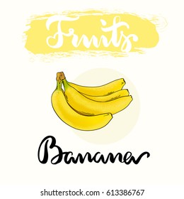 Banana fruit label design for product. Collection of food label design. Banana vector illustration with hand draw word typography.