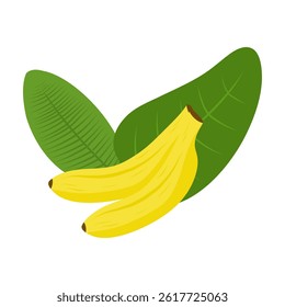 Banana fruit with leaves illustration, hand drawn tropical fruit