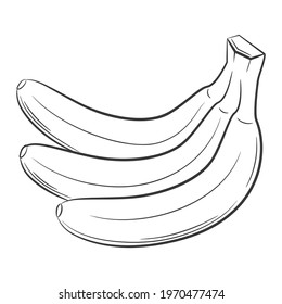 Banana fruit in a linear style. Black and white vector decorative element, drawn by hand.