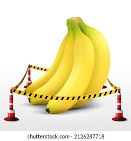 Banana fruit located in restricted area. Bunch of bananas surrounded barrier tape