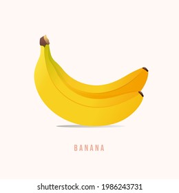 Banana fruit Modern style vector illustration.