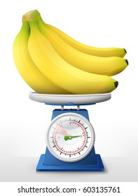 Banana fruit on scale pan. Weighing bunch of bananas on scales. Vector illustration