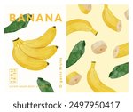 Banana Fruit packaging design templates, watercolour style vector illustration.