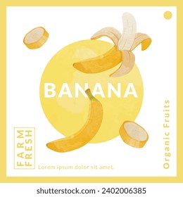 Banana Fruit packaging design templates, watercolour style vector illustration.