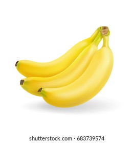 Banana fruit realistic. Bunch of bananas isolated