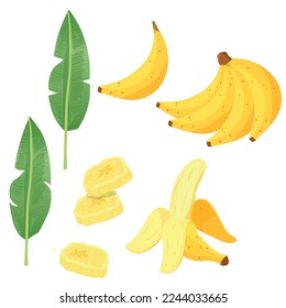 vector de dibujos animados de conjuntos de frutos de banana. comida blanca, ramo de dulce amarillo fresco, harina tropical orgánica de banana. ilustración de color aislado.