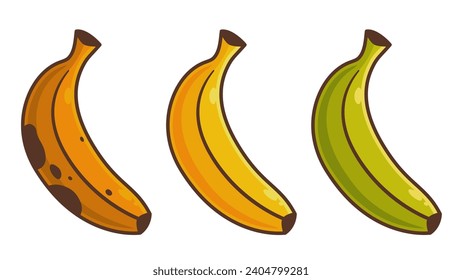 Banana fruit set. banana clipart, banana overripe. banana cartoon vector