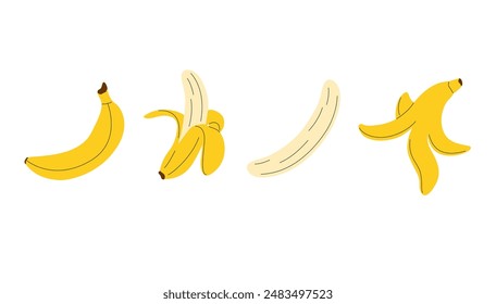 Bananenfrucht-Set. Handgezeichnete Kollektion mit Bananen. Banane, ganz, halb offen, nur geschält und geschält