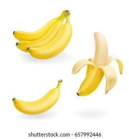 Banana fruit set vector realistic icons illustration