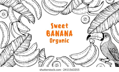 Banana fruit sketch. Banana frame. Hand drawn vector illustration. Tropical fruit. Packaging design, menu design, juice packaging. Banana frame.