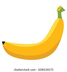 banana fruit vector