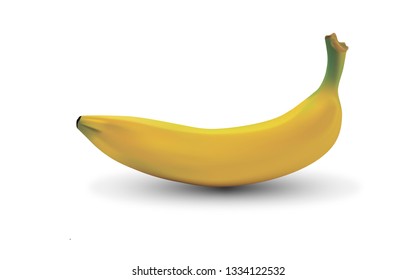 Banana, fruit, vector