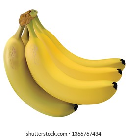 Banana Fruit Vector