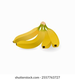 Banana fruit, fruit vector illustration