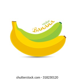 Banana, fruit vector illustration