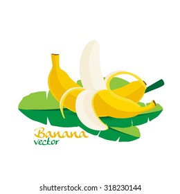 Banana, fruit vector illustration
