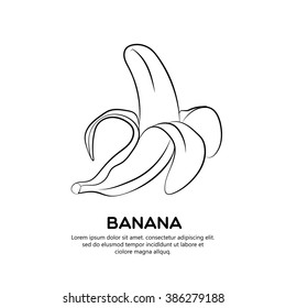 Banana, fruit vector illustration