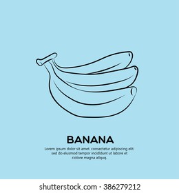 Banana, fruit vector illustration