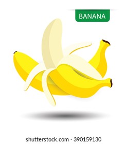 Banana, fruit vector illustration