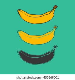 Banana, fruit vector illustration