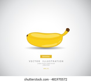 Banana, fruit vector illustration