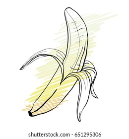 banana, fruit, vector, illustration